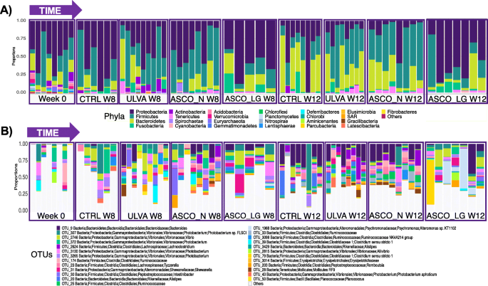 Temporal Changes In The Gut Microbiota In Farmed Atlantic Cod Gadus Morhua Outweigh The Response To Diet Supplementation With Macroalgae Animal Microbiome Full Text