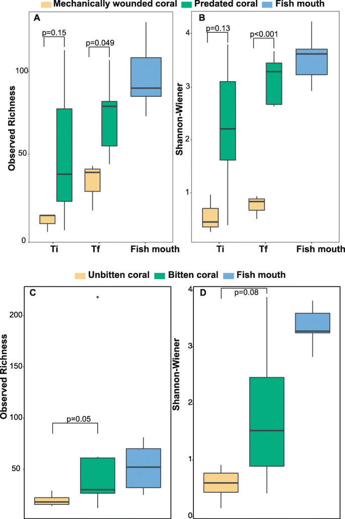 Parrotfish Predation Drives Distinct Microbial Communities In Reef Building Corals Animal Microbiome Full Text