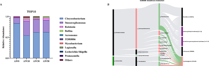 The influence of glutathione metabolism on alkaline adaptation of Amur ide  (Leuciscus waleckii) and potential role of gut microbiota | Animal  Microbiome | Springer Nature Link