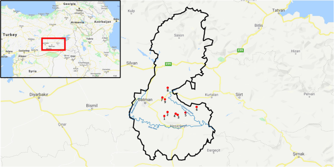 Plants And Foods As Identity Markers An Ethnographic Analysis On The Case Of The Y Ezidis From Batman Turkey Journal Of Ethnic Foods Full Text