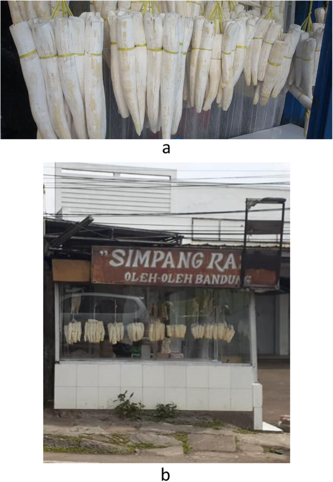 Peuyeum Fermented Cassava From Bandung West Java Indonesia Journal Of Ethnic Foods Full Text