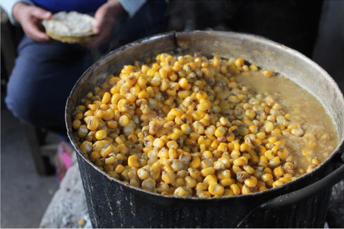 Nixtamal techniques for different maize races prepared as tortillas and  tostadas by women of Chiapas, Mexico | Journal of Ethnic Foods | Full Text