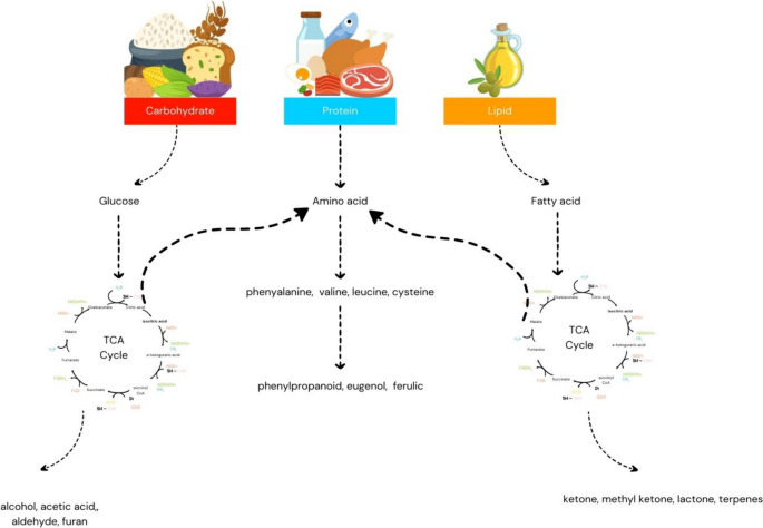 Development of functional bioflavor based on Indonesian indigenous 