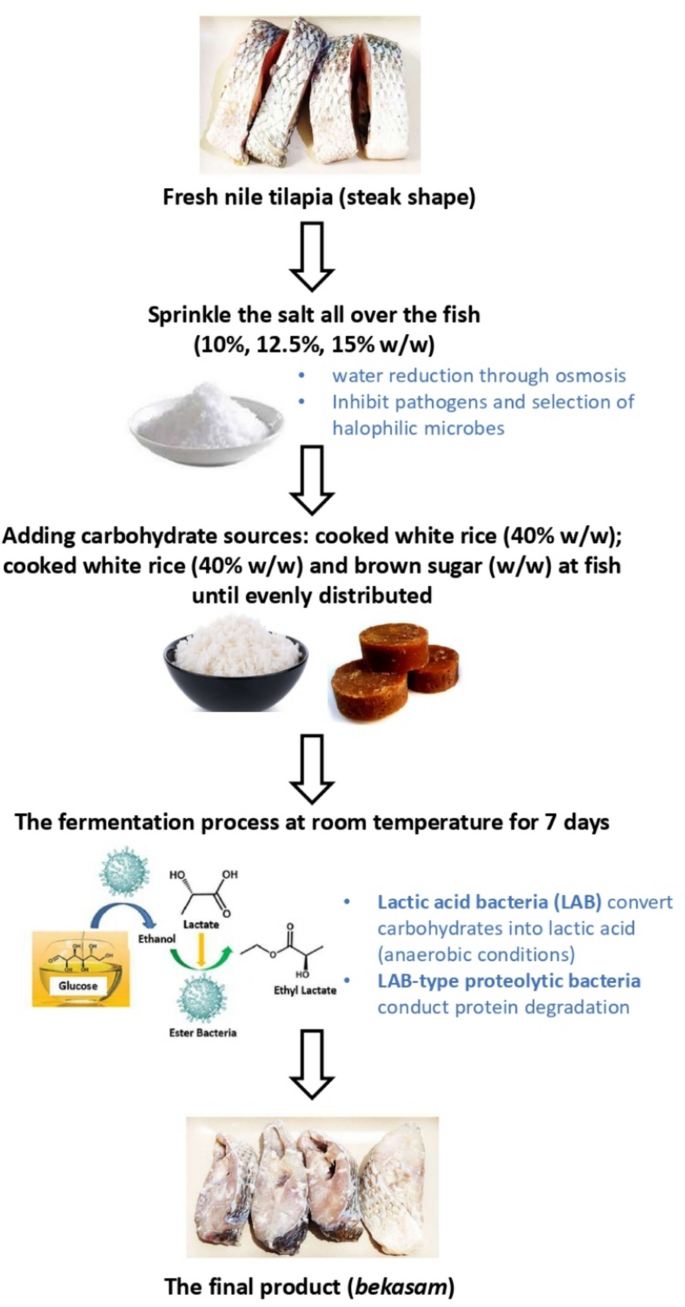 Surimi Fermentation Traditional fermented fish ‘bekasam’ as a flavor enhancer: Perspectives ...