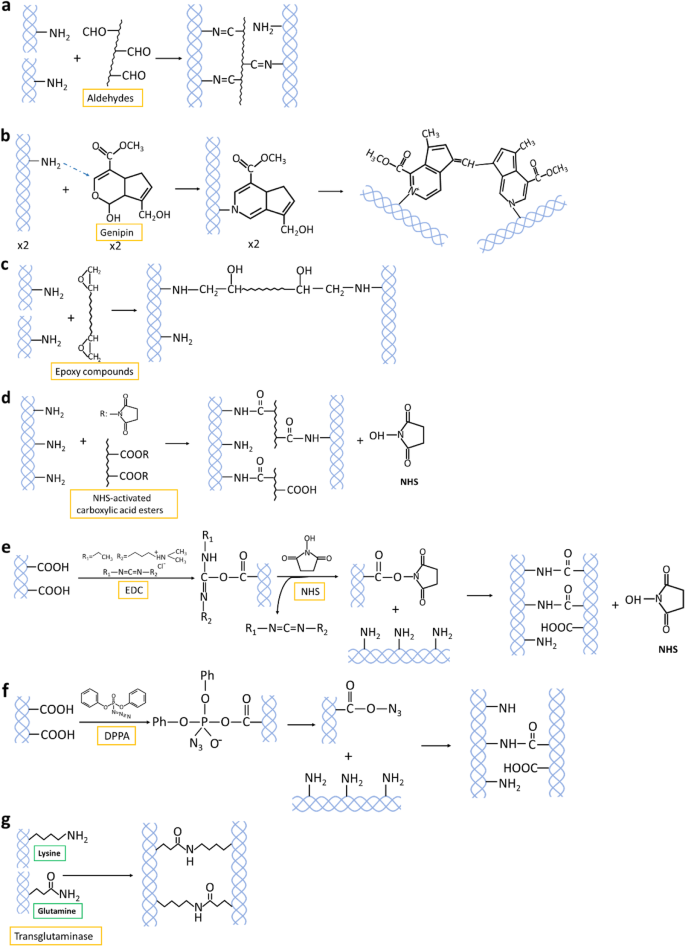 scheme 4