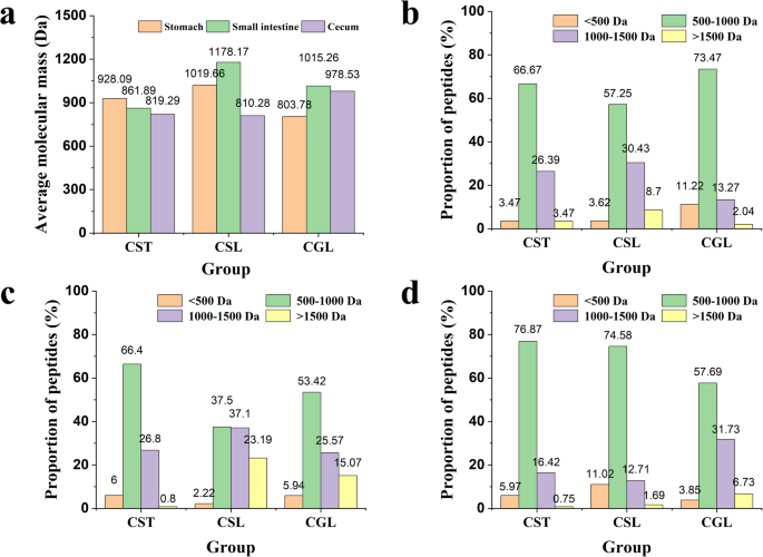 分子量分析图：展示了胃、小肠和盲肠不同消化阶段消化物中胶原肽段的平均分子量和不同分子量肽段的百分比分布