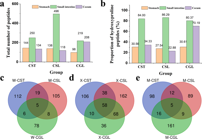 肽段综合分析图：展示了不同消化阶段消化液中胶原肽的数量、含羟脯氨酸胶原肽的比例以及胃、小肠、盲肠中独特胶原肽的数量