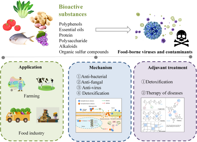 Natural bioactive substances for the control of food-borne viruses and  contaminants in food | Food Production, Processing and Nutrition | Full Text
