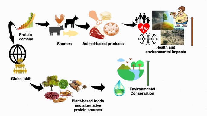 Trends and innovations in the formulation of plant-based foods | Food  Production, Processing and Nutrition | Full Text