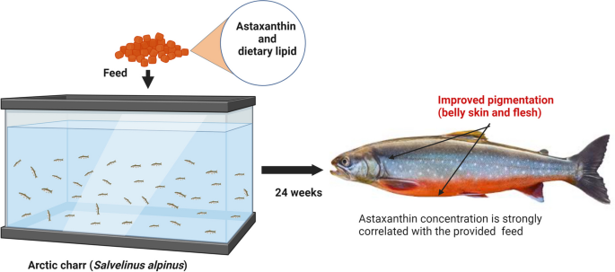 Astaxanthin powder manufacturer Astaxanthin powder manufacturer