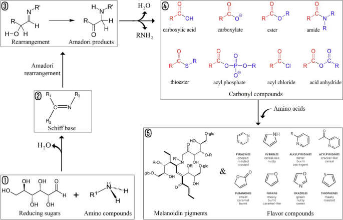 maillard reaction products in cigarette smoke milligrams Process-induced toxicants in food: an overview on structures, formation  pathways, sensory properties, safety and health implications | Food  Production, Processing and Nutrition