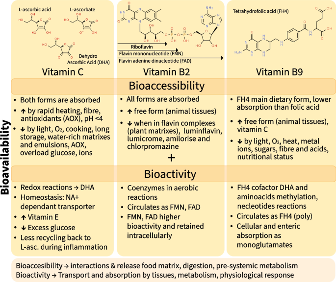 bioavailability of vitamin oral reduced glutathione Biological, dietetic and pharmacological properties B9 Best Glutathione Supplement | 4