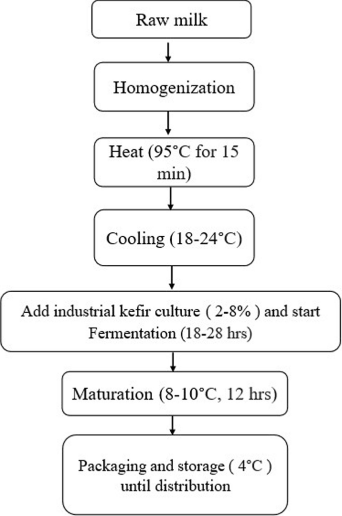 Commercial method of milk kefir