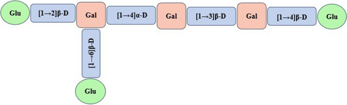Structure of milk kefir polysaccharides