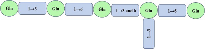 The structure of water kefir polysaccharides