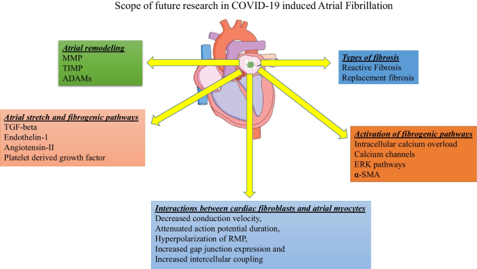 Cureus, Left Ventricular Global Longitudinal Strain in Patients With  COVID-19 Infection