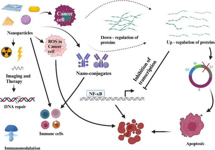 nano glutathione benefits Navigating toxicity in lung cancer immunotherapy: challenges and advances in Nano medicine drug delivery | Journal of the Egyptian National Cancer Institute