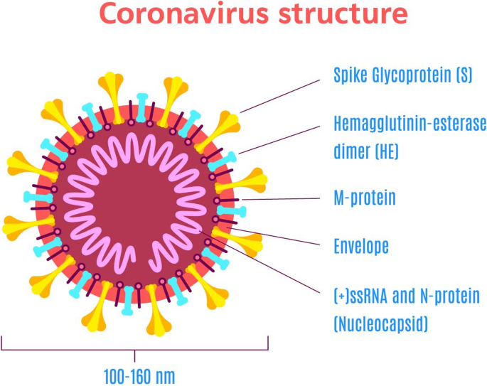 2020 Pandemic COVID-19 Virus Desk Toy Magnetic Rona Quarantine Conquer Corona Trophy