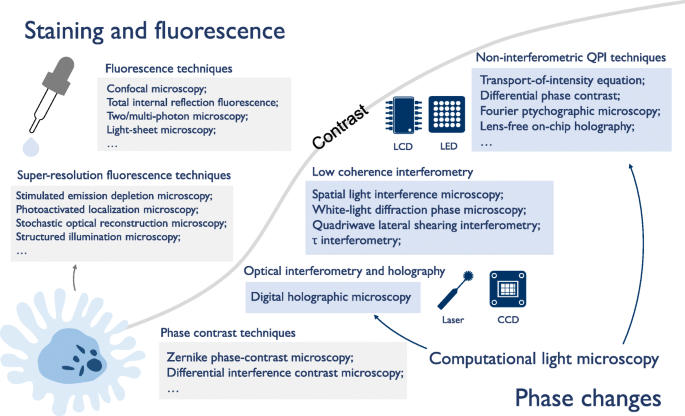 Smart computational light microscopes (SCLMs) of smart computational  imaging laboratory (SCILab) | PhotoniX | Full Text