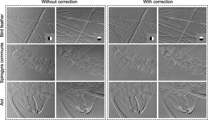 figure 22