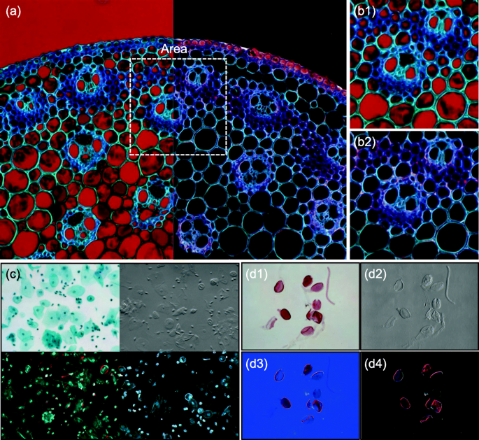 figure 23