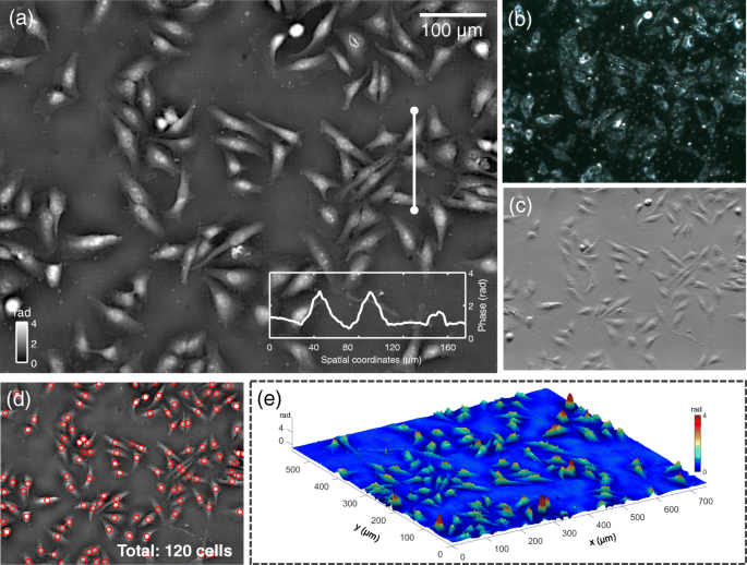 figure 25