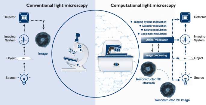 Smart computational light microscopes (SCLMs) of smart 