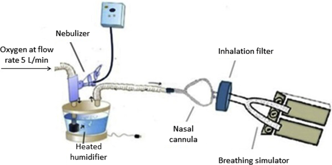 Aerosol delivery through high flow nasal cannula compared to biphasic  positive airway pressure, at two different pressure: an in-vitro study |  Beni-Suef University Journal of Basic and Applied Sciences | Full Text