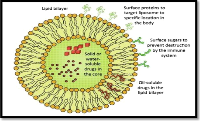 nanosuspension research article pdf figure 6