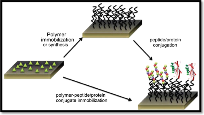 nanosuspension research article pdf figure 7