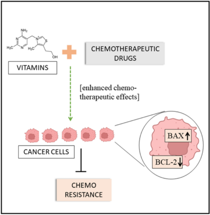 The role of diet and nutraceuticals in the amelioration of multidrug  resistance amongst cancer patients | Beni-Suef University Journal of Basic  and Applied Sciences | Springer Nature Link