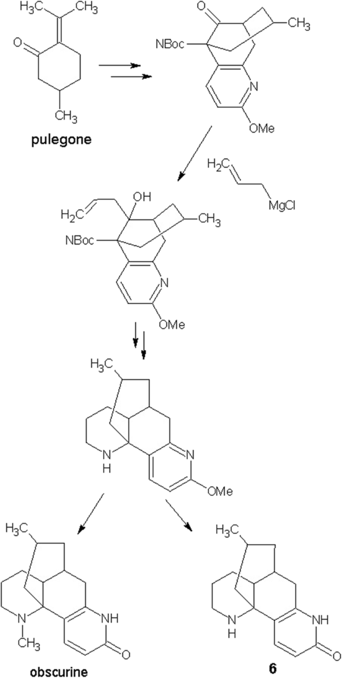 Construction of the Azocane (Azacyclooctane) Moiety of the Lycopodium  Alkaloid Lycopladine H via an Intramolecular Hydroaminomethylation Strategy