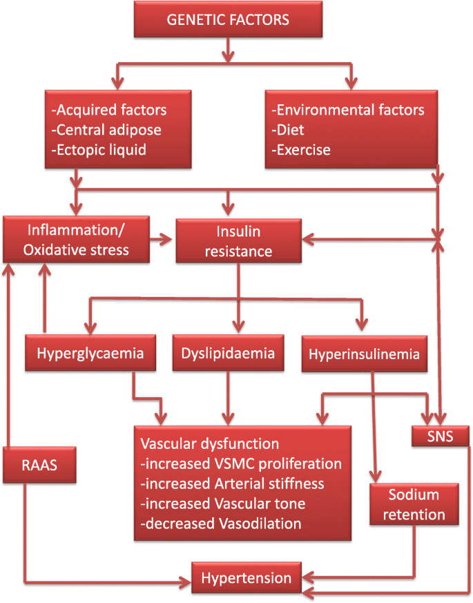 treatment of hypertension in patients with diabetes mellitus