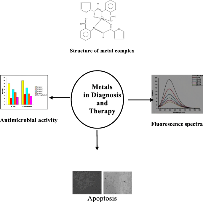 research on transition metal complexes