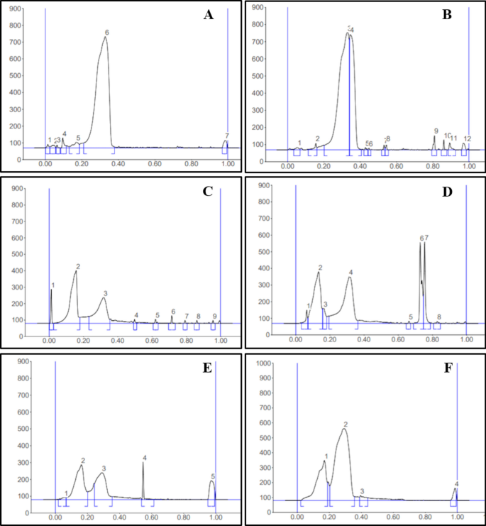 Cytotoxicity of BAL1 (Left) and cell survival rate after UVA damage