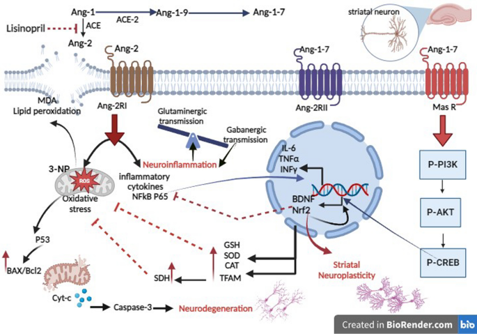 glutathione skin health benefits  Glutathione Benefits: The Secret to Better Health?