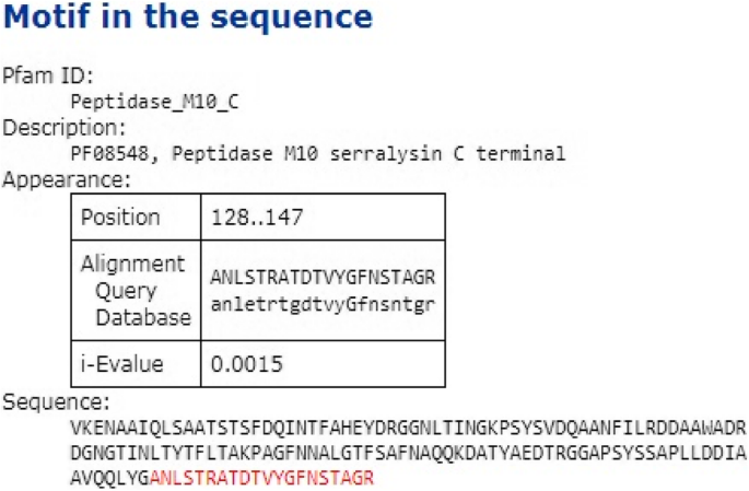 Serratiopeptidase Mechanism Of Action