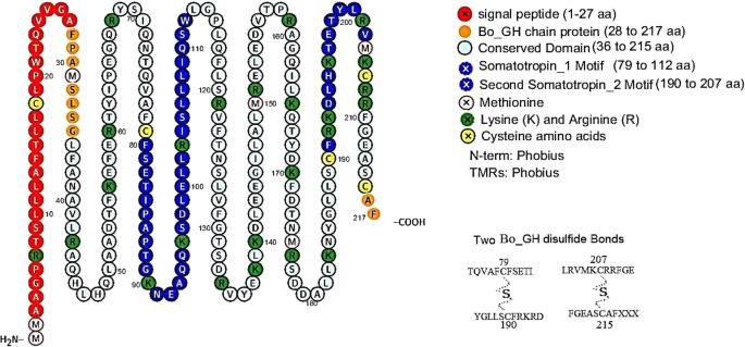 figure 17