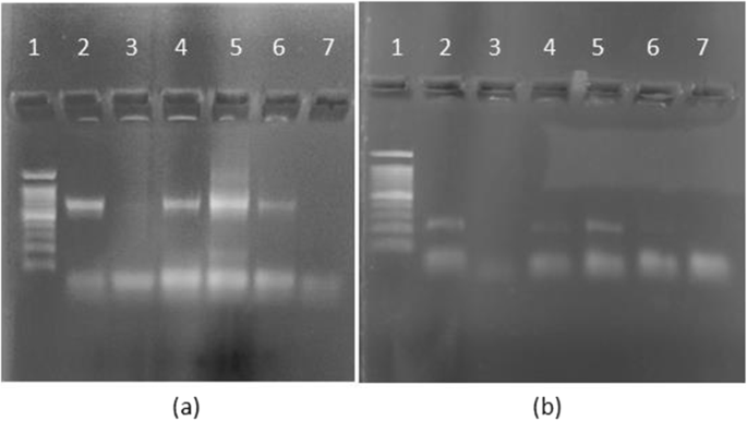 microbiological methods research paper figure 7