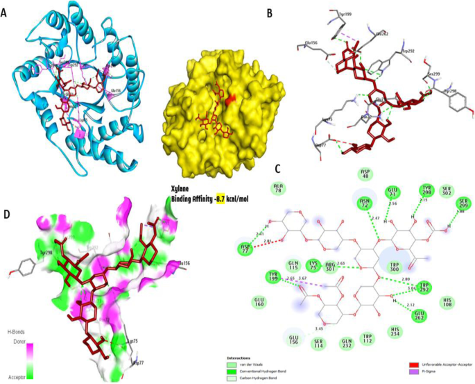 figure 24