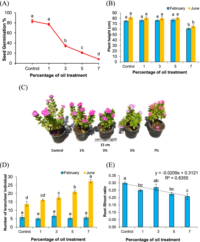 Eco-physiological response and genotoxicity induced by crude petroleum oil  in the potential phytoremediator Vinca rosea L | Journal of Genetic  Engineering and Biotechnology | Full Text
