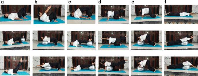 Effect of progressive postural control exercise and yoga on pain ...