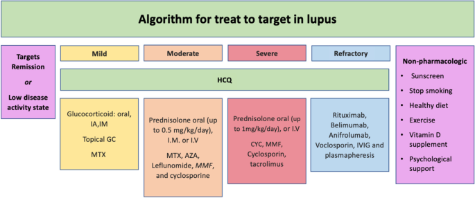 Egyptian recommendations for the management of systemic lupus erythematosus:  a consensus, evidence-based, clinical practice guidelines for  treat-to-target management | Egyptian Rheumatology and Rehabilitation |  Full Text