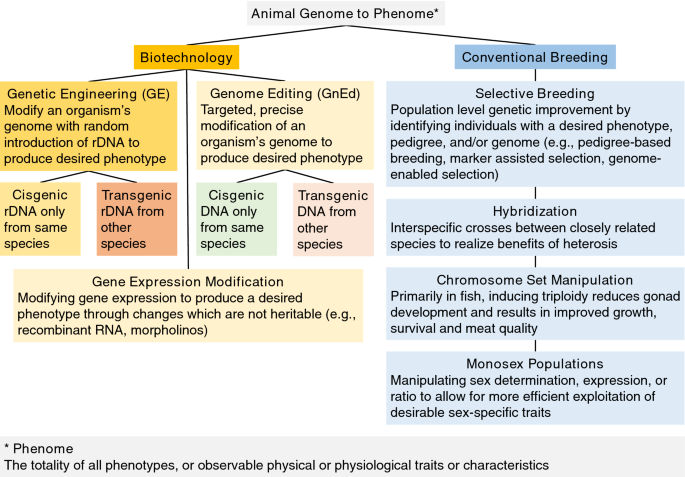 Advancing genome editing to improve the sustainability and resiliency of  animal agriculture | CABI Agriculture and Bioscience | Full Text