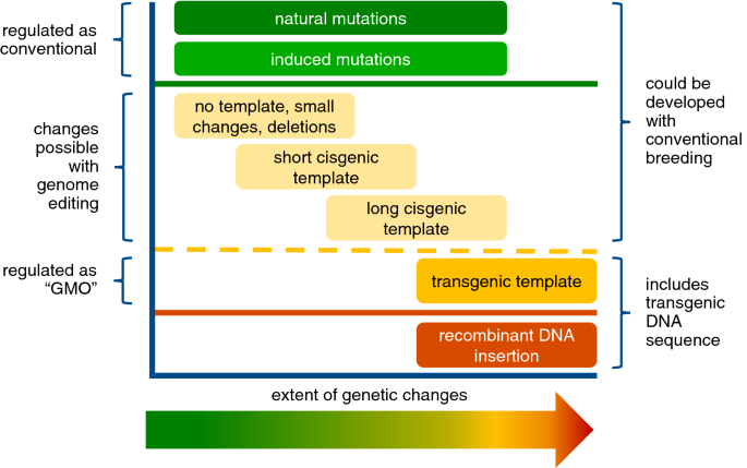 animal biotechnology research articles figure 3