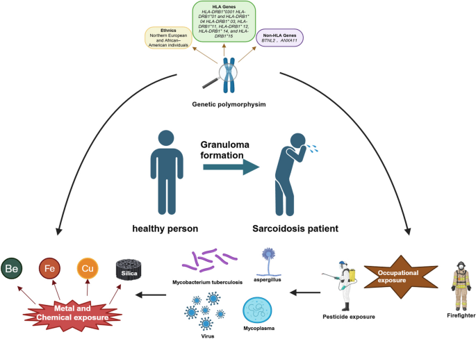 glutathione s transferase theta 1 Glutathione Transferase - an overview