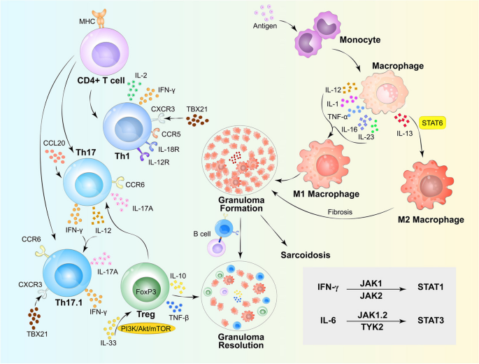glutathione definition in chemistry Glutathione - an overview