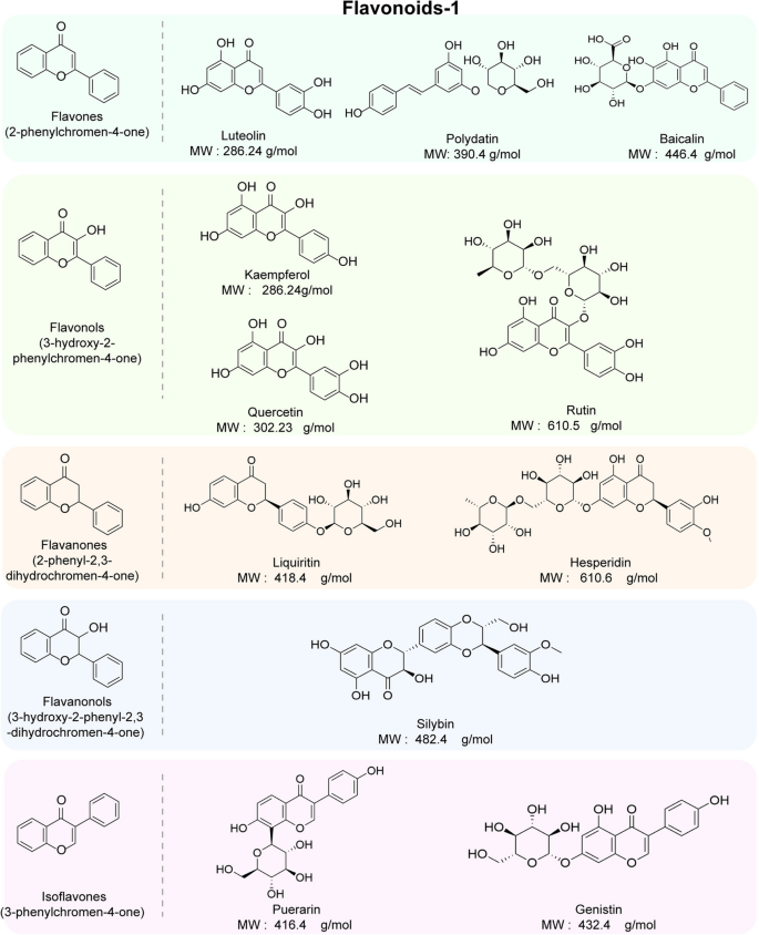  l carnitine       250     100 