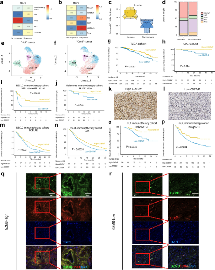 Single-cell RNA sequencing identifies CD8Teff cell activation as a ...