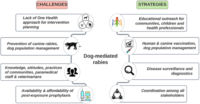 Eliminating dog-mediated rabies: challenges and strategies | Animal Diseases | Full Text Eliminating dog-mediated rabies: challenges and strategies | Animal Diseases | Full Text